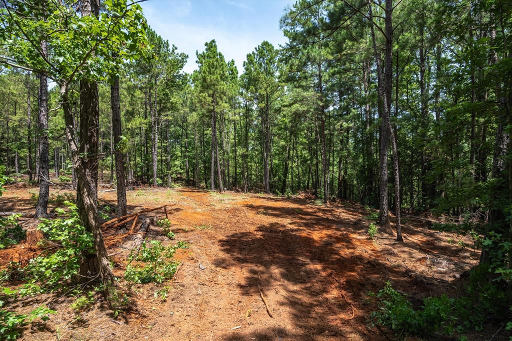 Tract 2 County Road 4102 Property Photo 8