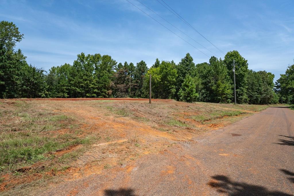 Tract 2 County Road 4102 Property Photo 17