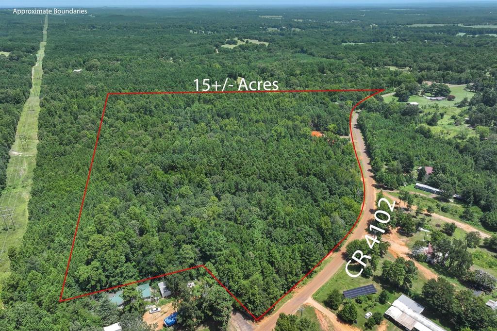 Tract 2 County Road 4102 Property Photo 31