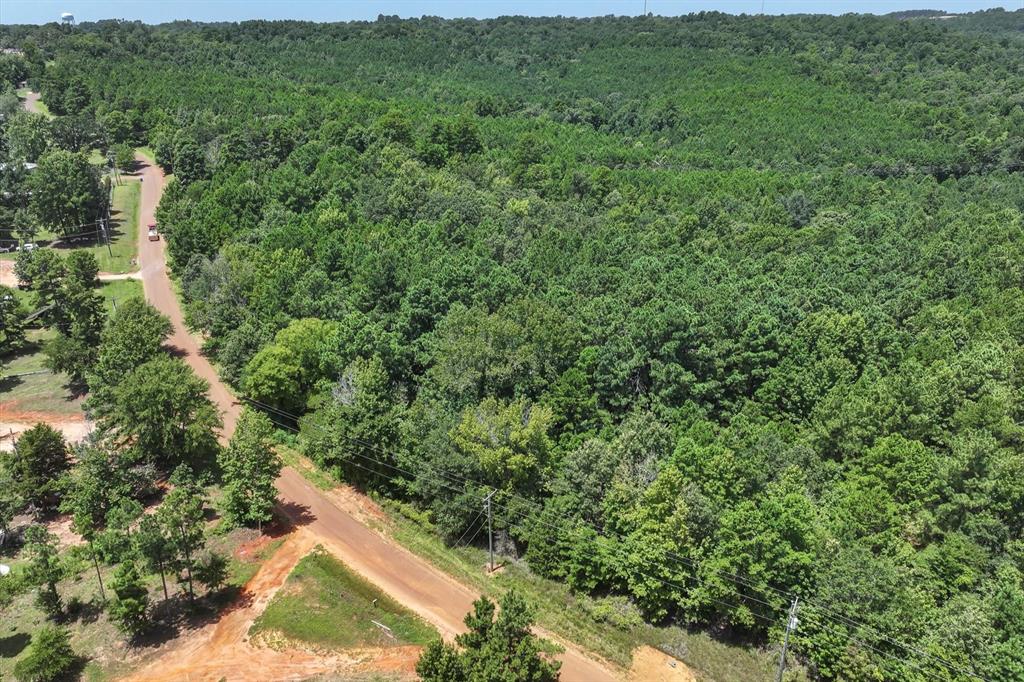 Tract 3 County Road 4102 Property Photo 8