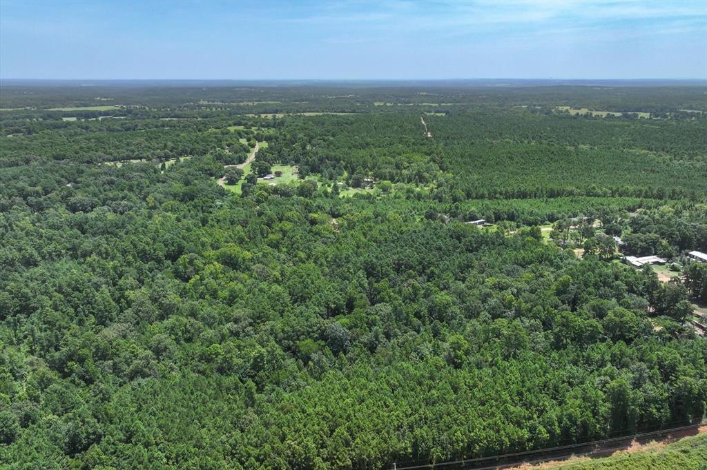 Tract 3 County Road 4102 Property Photo 11
