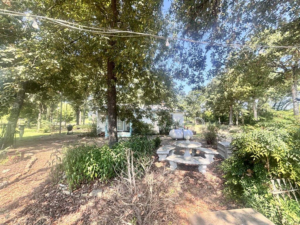502 Peach Tree Road Property Photo 8