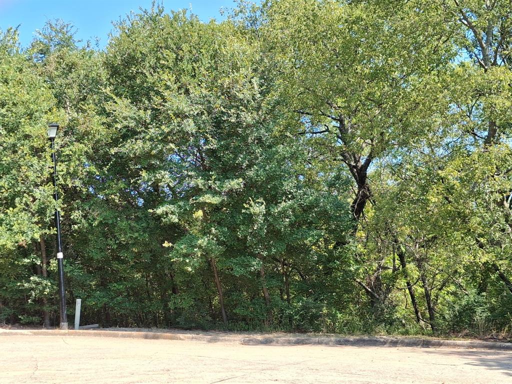 606 Mulberry Court Property Photo 3