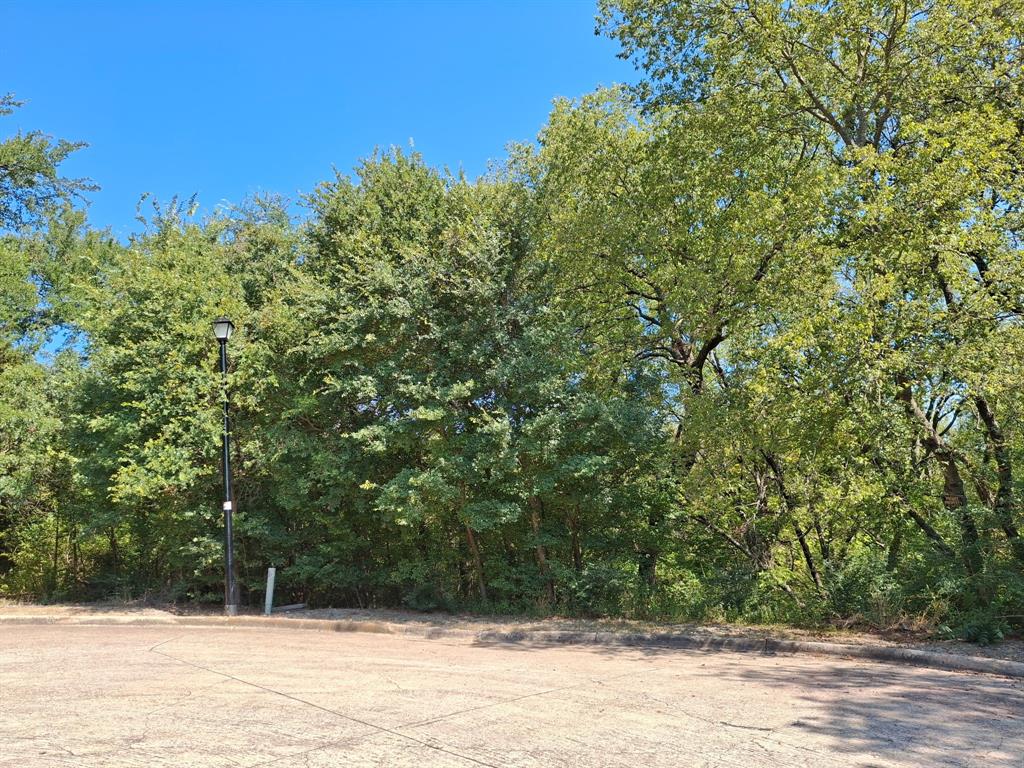 606 Mulberry Court Property Photo 5