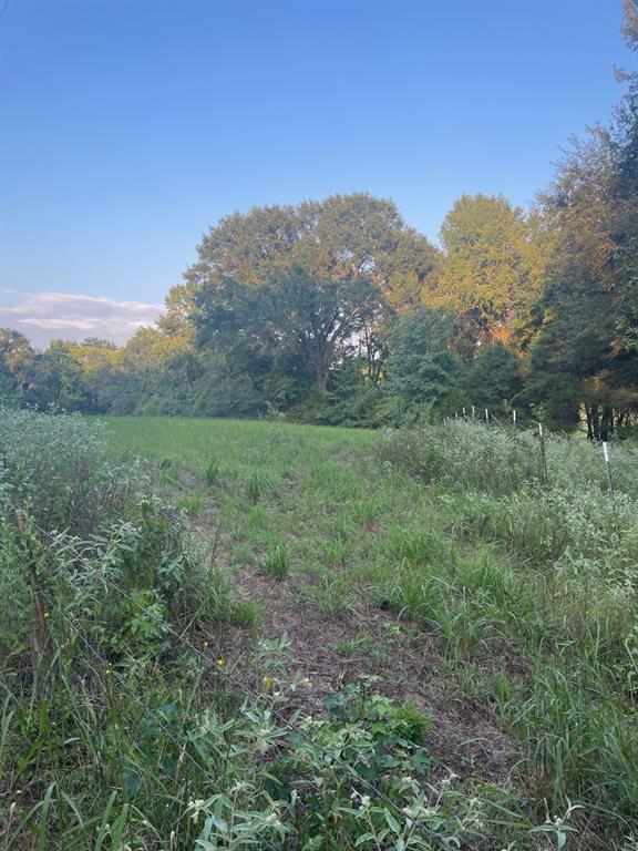 0000 Fm 2909 & Pr 8905 Property Photo 2