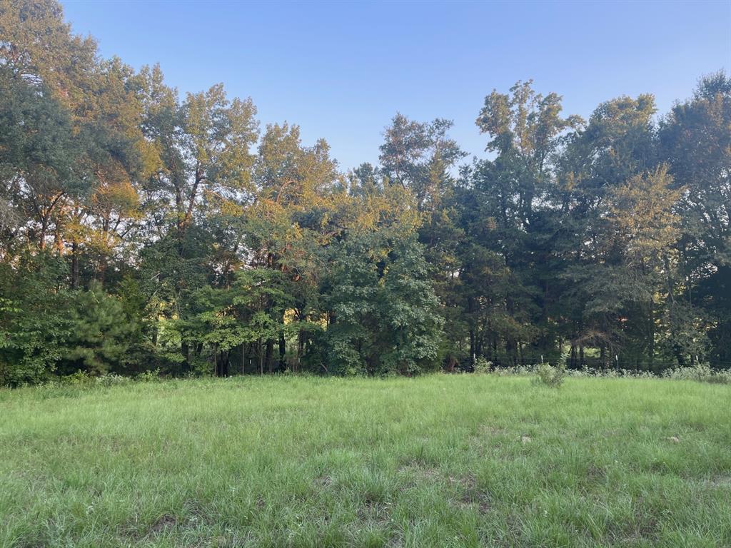 0000 Fm 2909 & Pr 8905 Property Photo 3