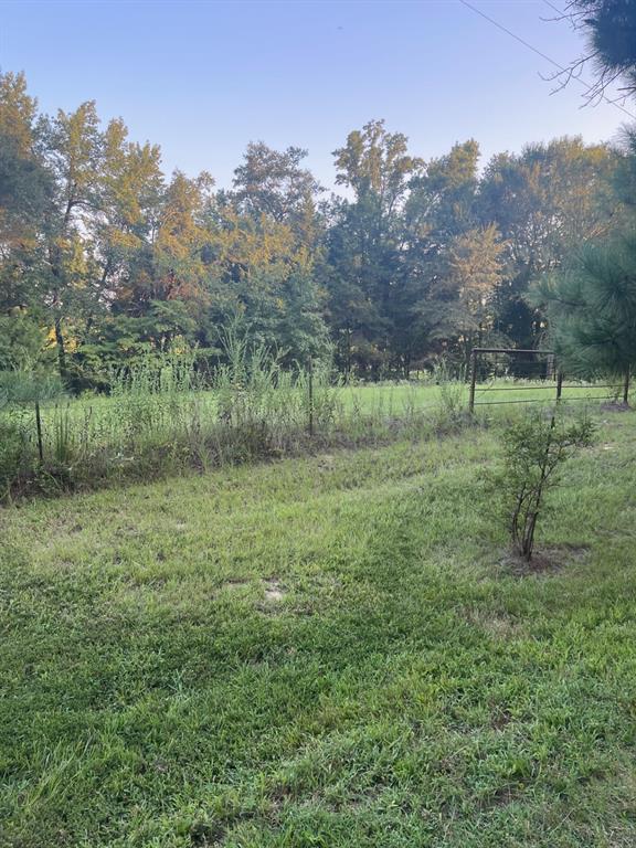 0000 Fm 2909 & Pr 8905 Property Photo 4