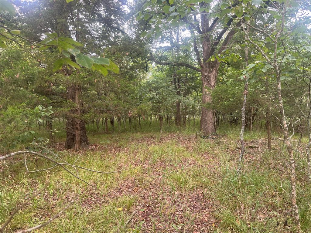 Cr 2353 Cr 2353 Property Photo 2