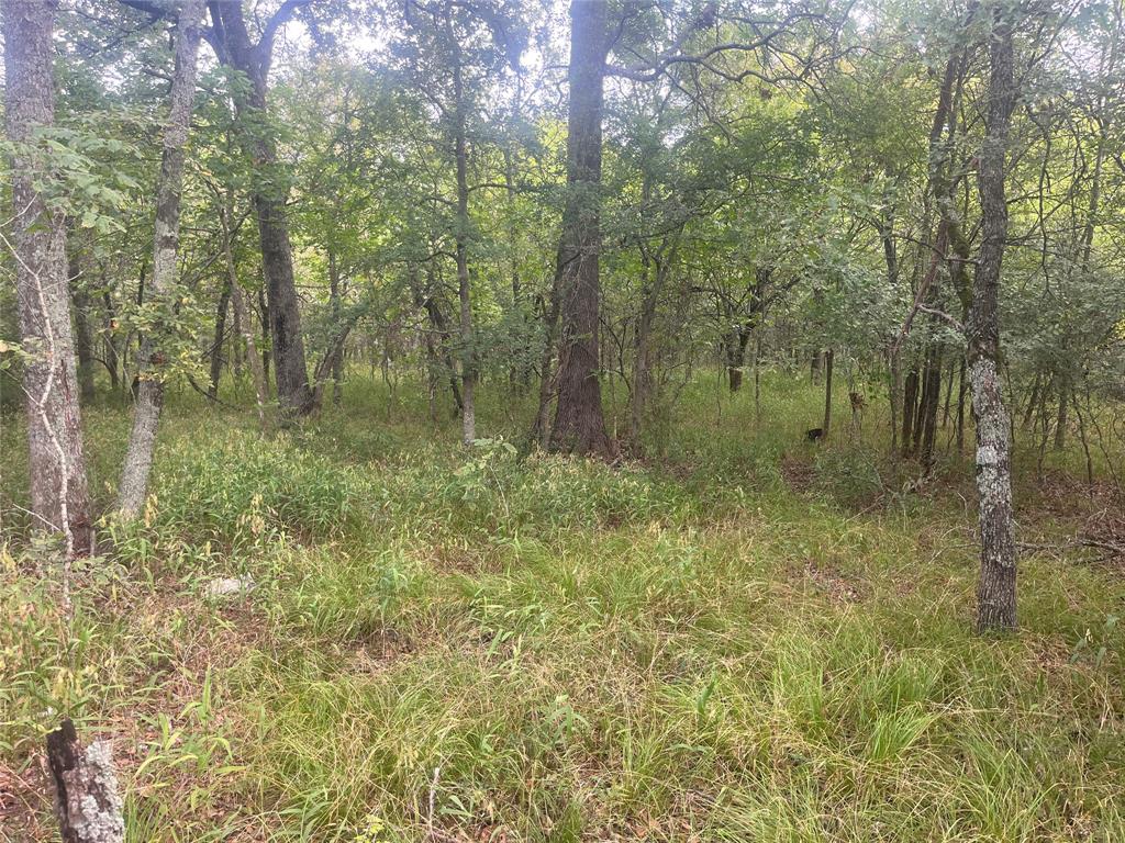 Cr 2353 Cr 2353 Property Photo 3