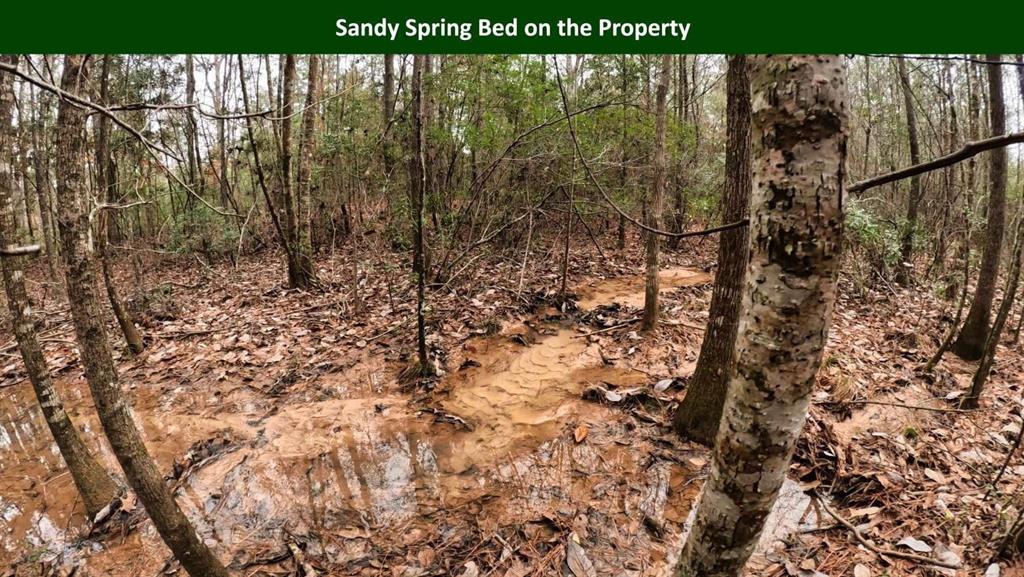 0 E Pr 6150 Property Photo 21
