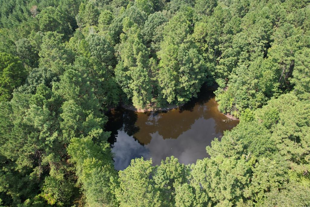 Tbd County Road 283 Property Photo 2