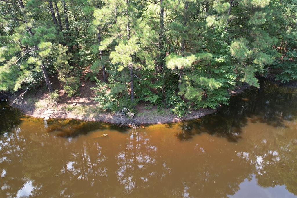 Tbd County Road 283 Property Photo 3