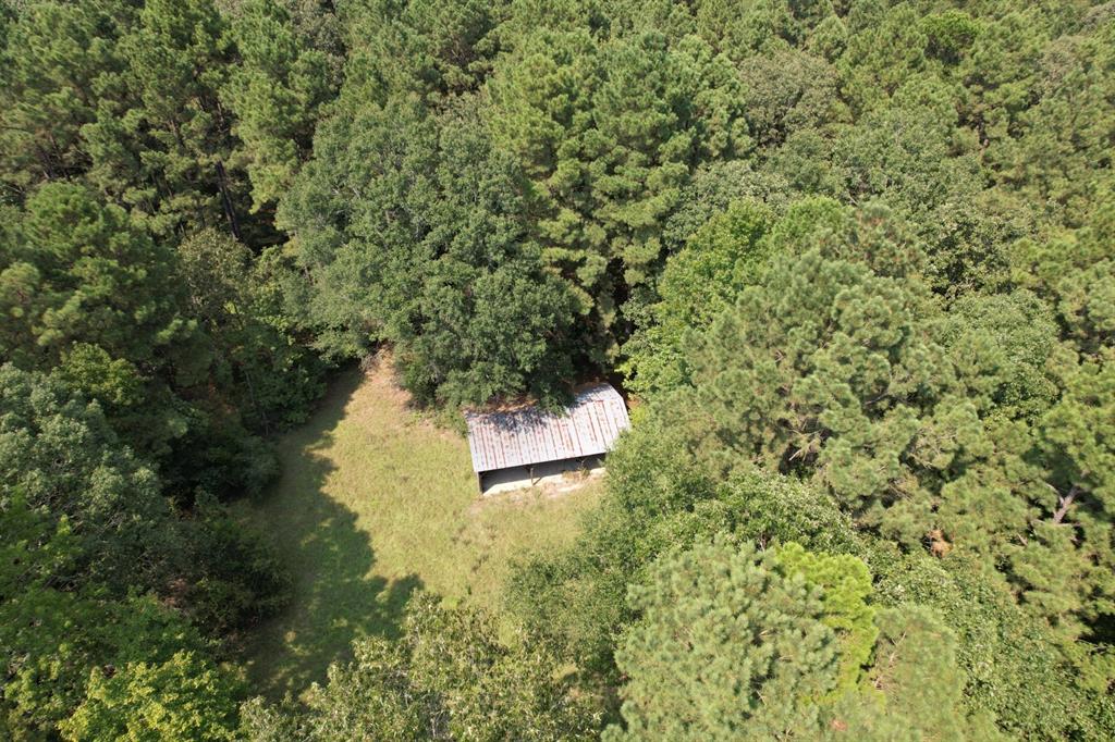 Tbd County Road 283 Property Photo 4