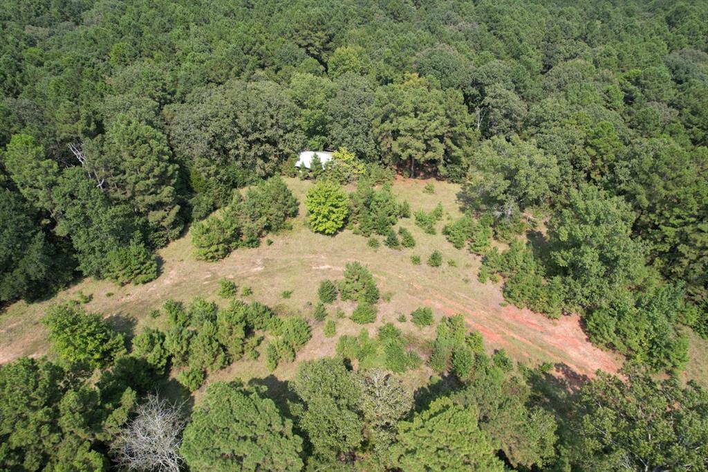 Tbd County Road 283 Property Photo 5