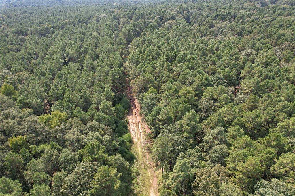 Tbd County Road 283 Property Photo 7
