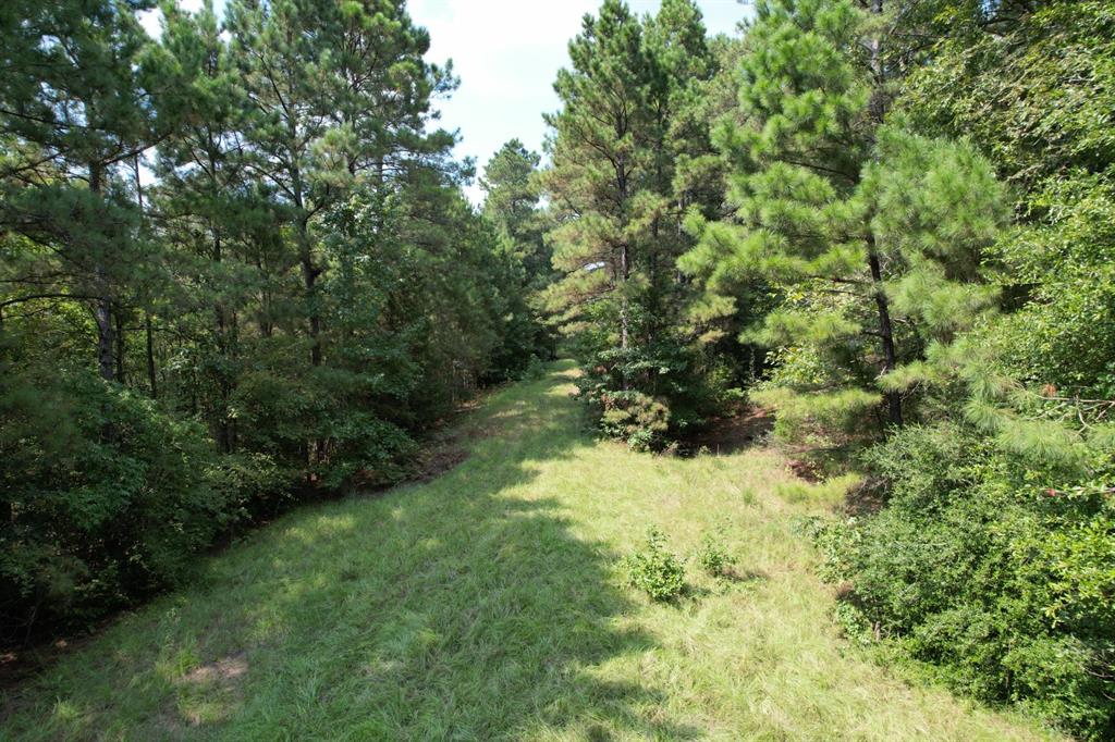 Tbd County Road 283 Property Photo 8