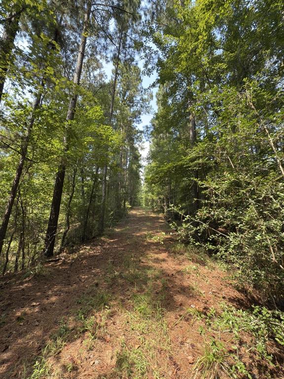 Tbd County Road 283 Property Photo 10