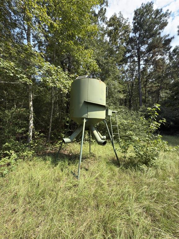 Tbd County Road 283 Property Photo 15