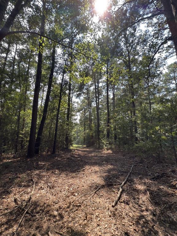 Tbd County Road 283 Property Photo 17