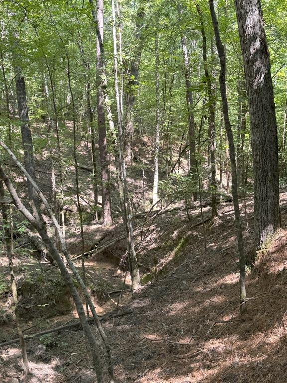 Tbd County Road 283 Property Photo 22