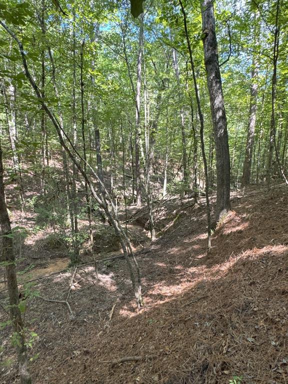 Tbd County Road 283 Property Photo 23