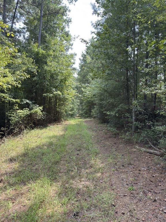 Tbd County Road 283 Property Photo 25