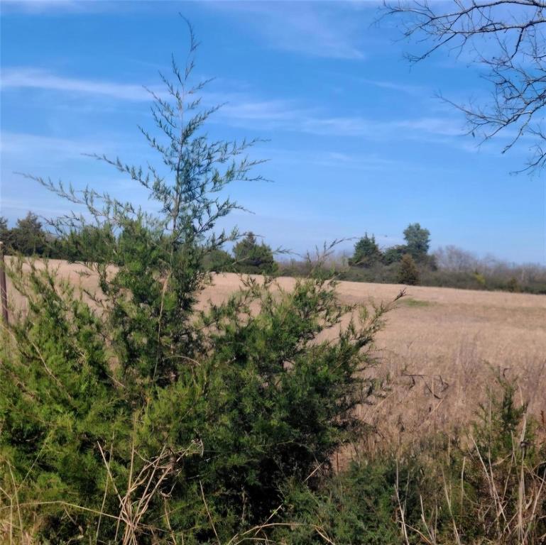 3366 County Road 1114 Property Photo 1