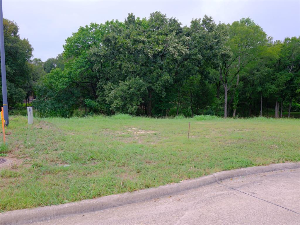 2414 Summer Brook Court Property Photo 2