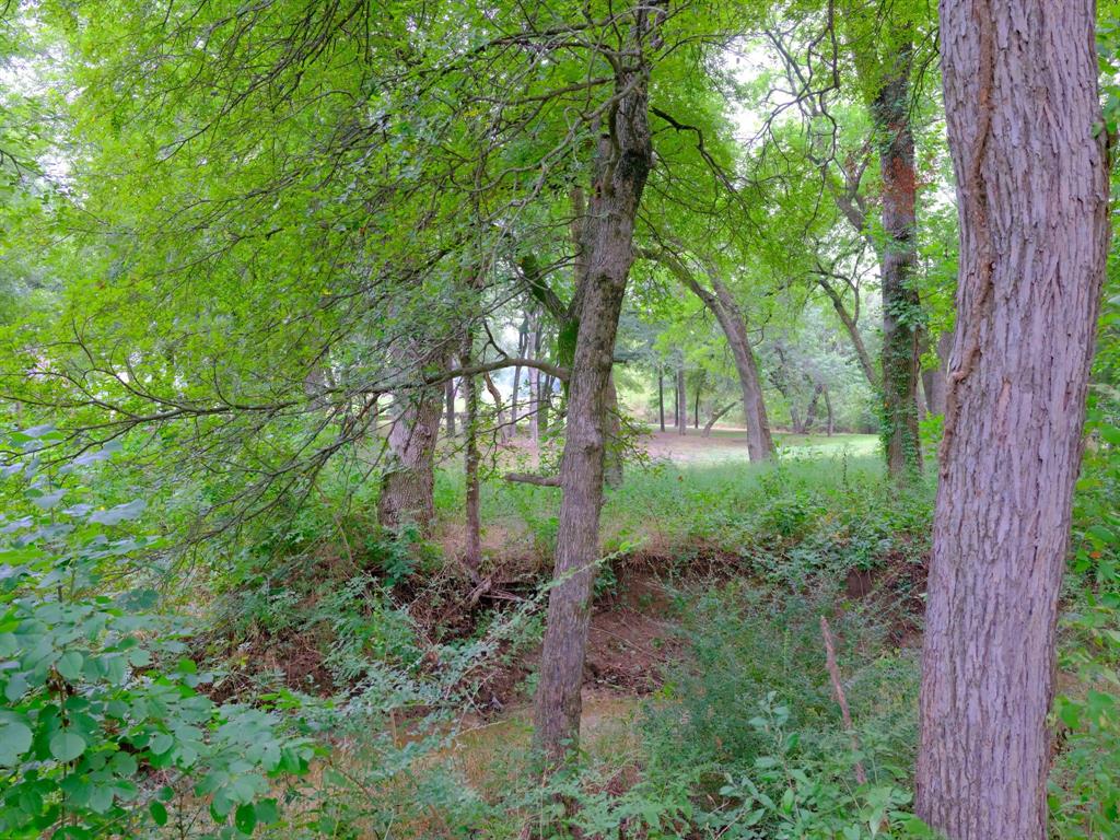 2414 Summer Brook Court Property Photo 15