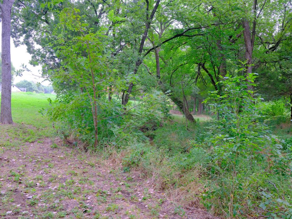 2414 Summer Brook Court Property Photo 16