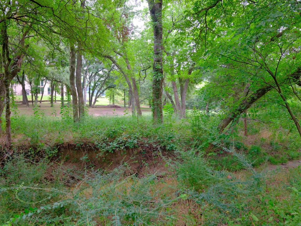 2414 Summer Brook Court Property Photo 17