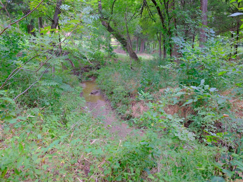 2414 Summer Brook Court Property Photo 18