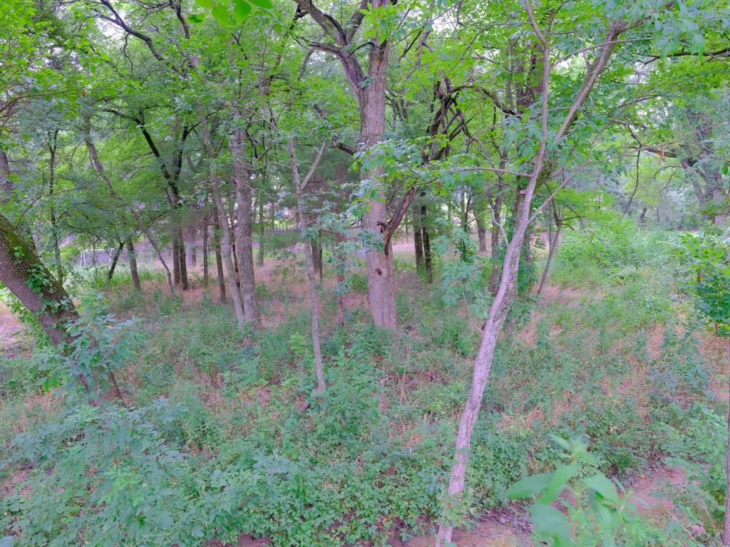 2414 Summer Brook Court Property Photo 23