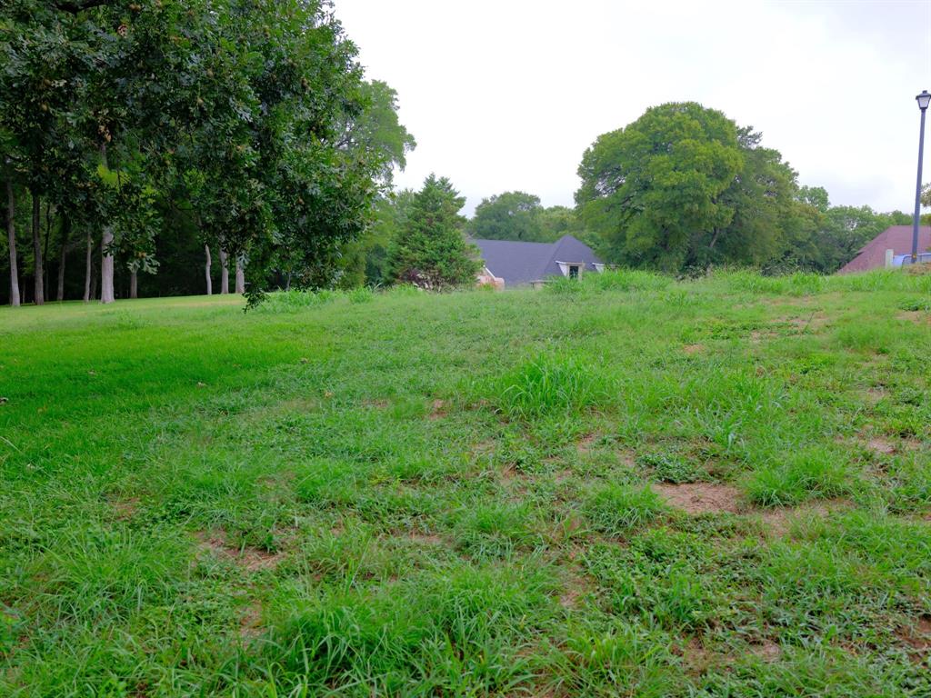 2414 Summer Brook Court Property Photo 27