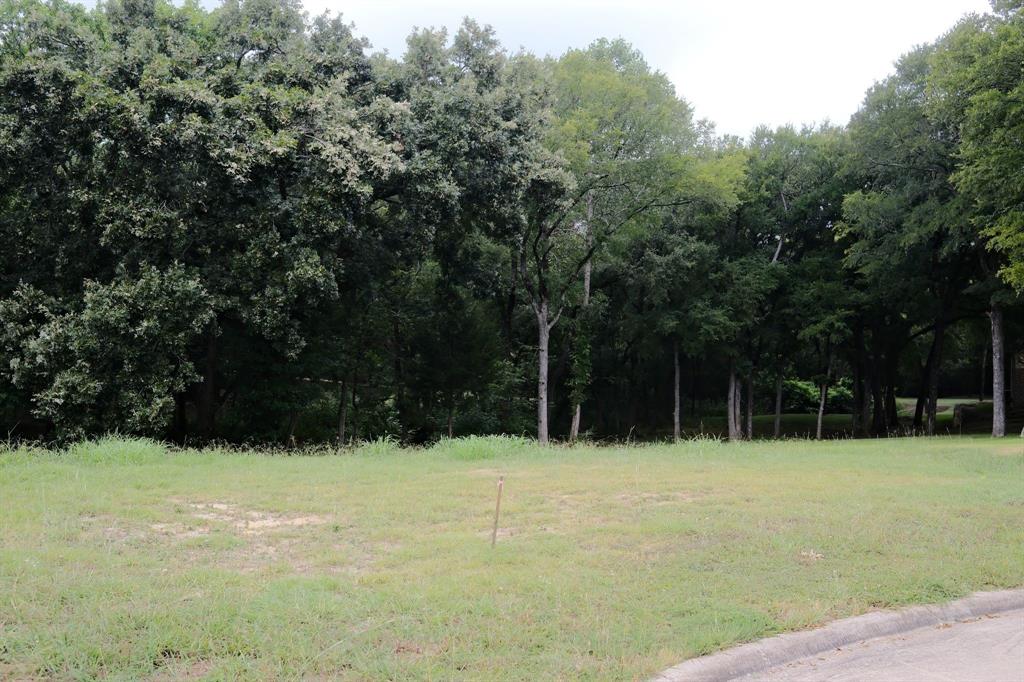 2414 Summer Brook Court Property Photo 28