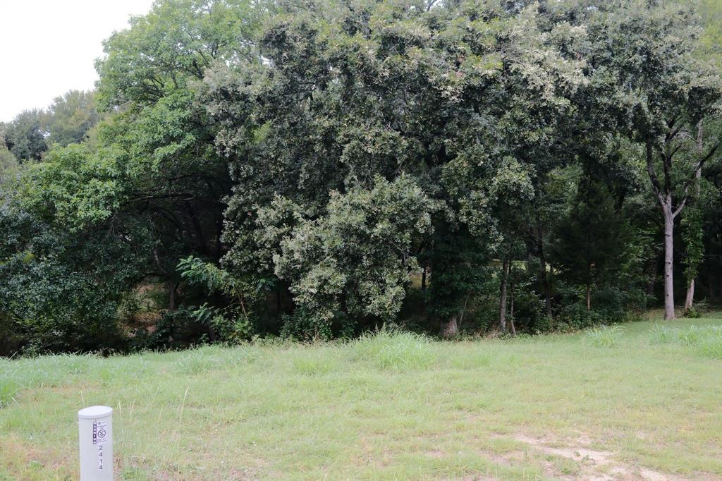 2414 Summer Brook Court Property Photo 29