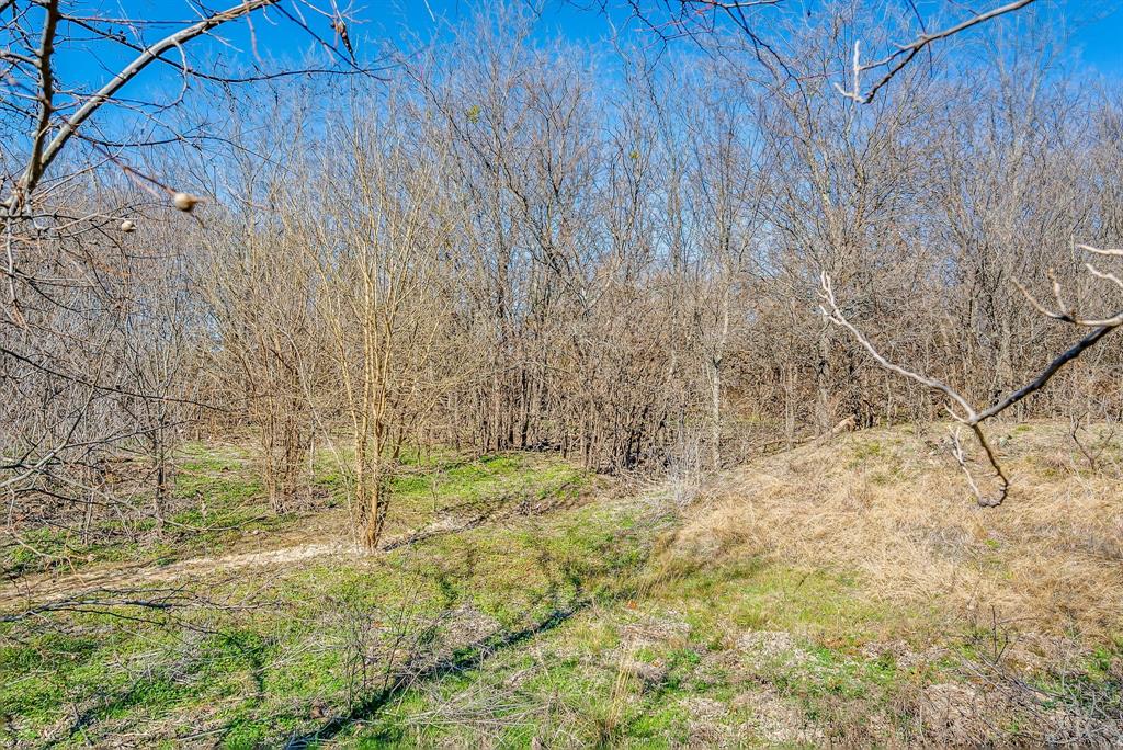 Tbd Hwy 171 Property Photo 27