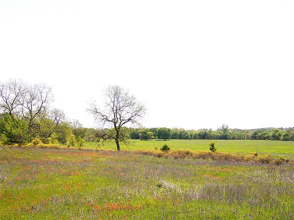 55 Ac Starr Mann Property Photo 4