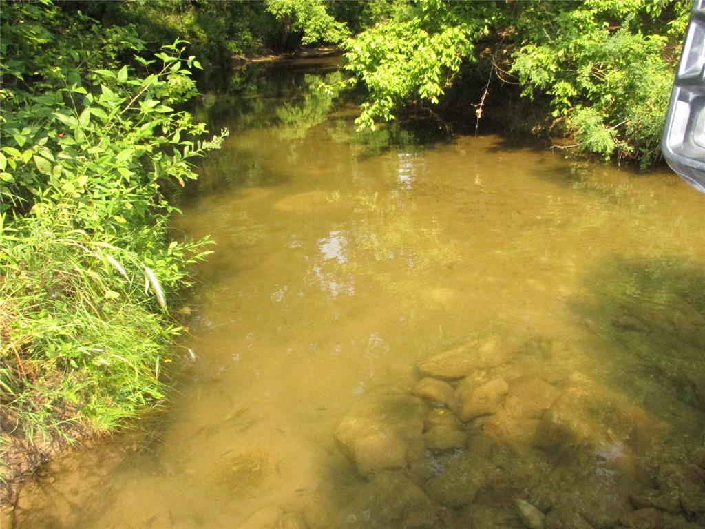 55 Ac Starr Mann Property Photo 5