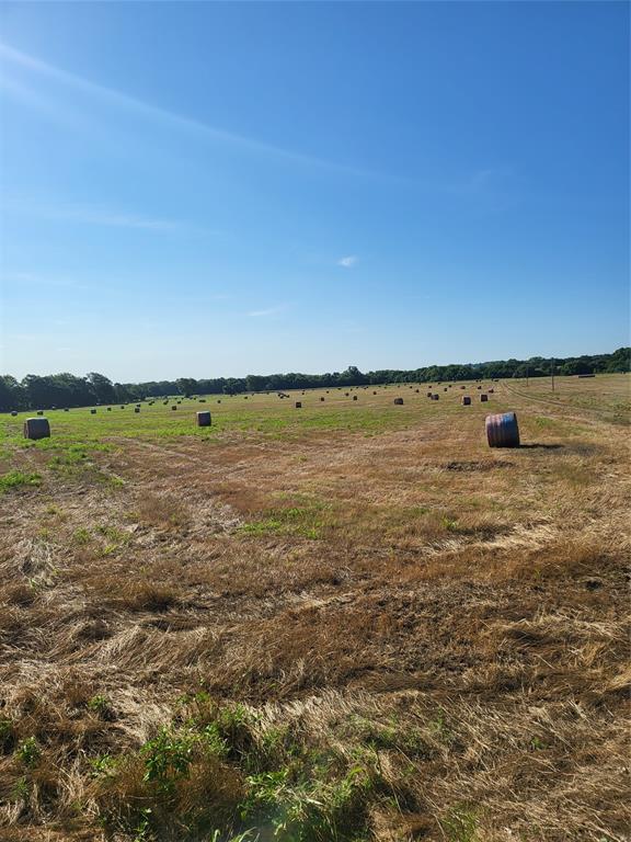 55 Ac Starr Mann Property Photo 9