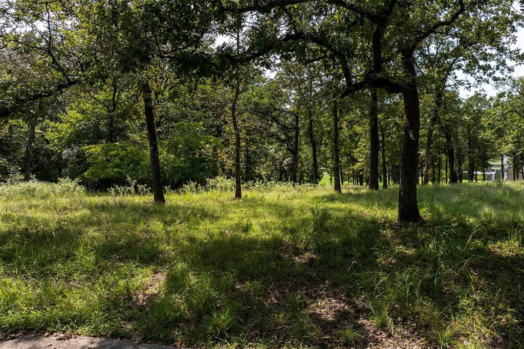 3570 Pleasant Run Circle Property Photo 13