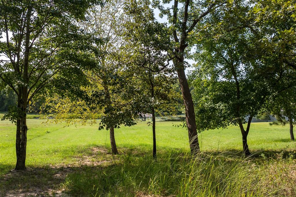 3570 Pleasant Run Circle Property Photo 17