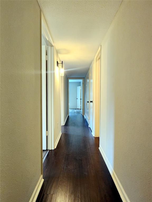 338 Wildbriar Drive Property Photo 26