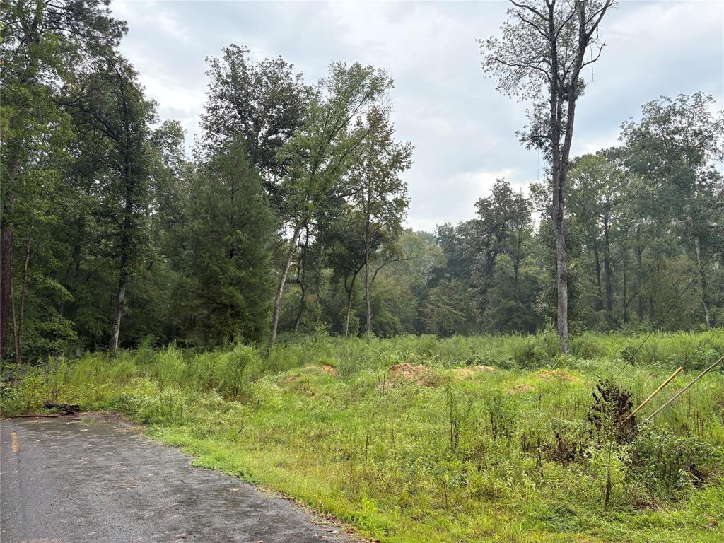 0 Fox Skin Drive Property Photo 4