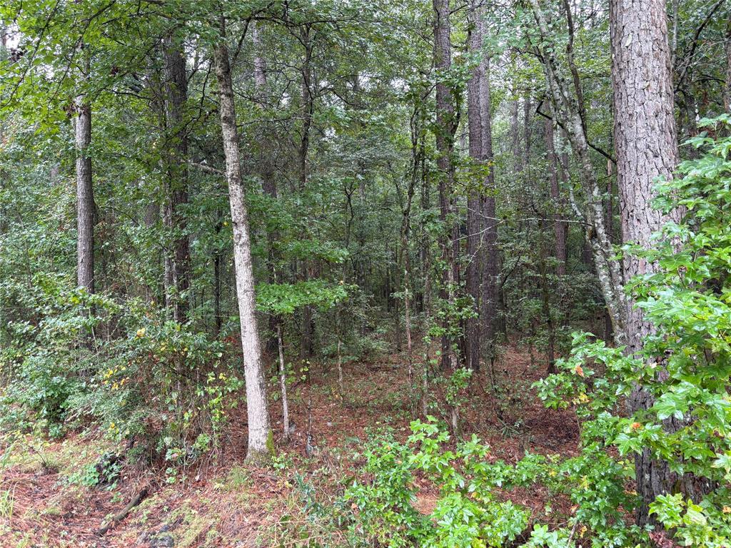 0 Fox Skin Drive Property Photo 5