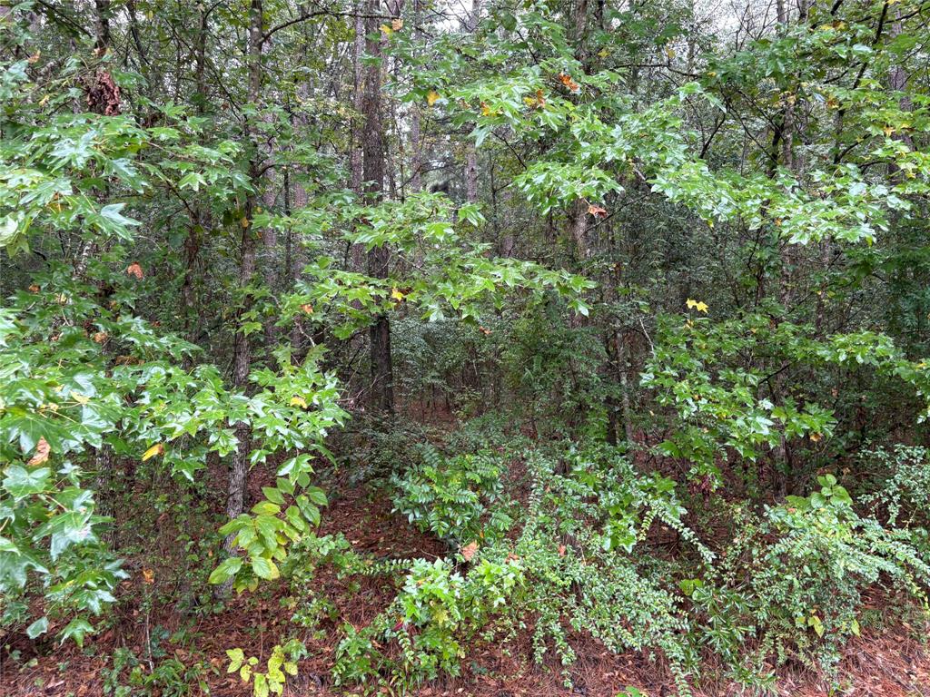 0 Fox Skin Drive Property Photo 7