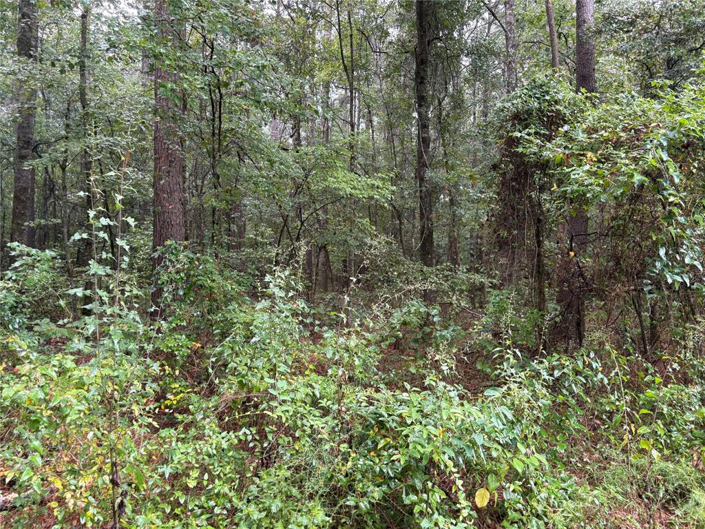 0 Fox Skin Drive Property Photo 8