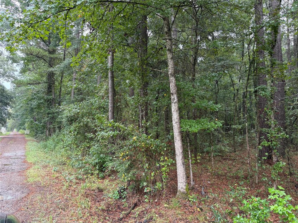 0 Fox Skin Drive Property Photo 9