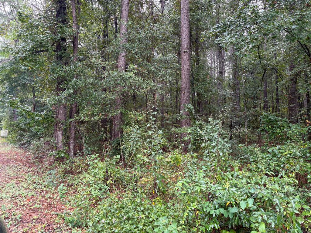 0 Fox Skin Drive Property Photo 10