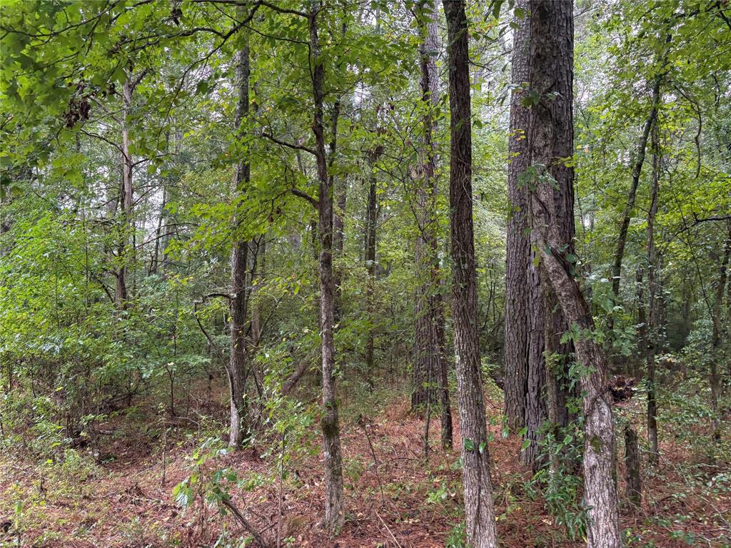 0 Fox Skin Drive Property Photo 12